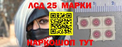 гидропоника Пенза
