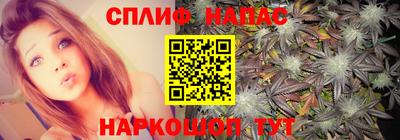 гидропоника Партизанск