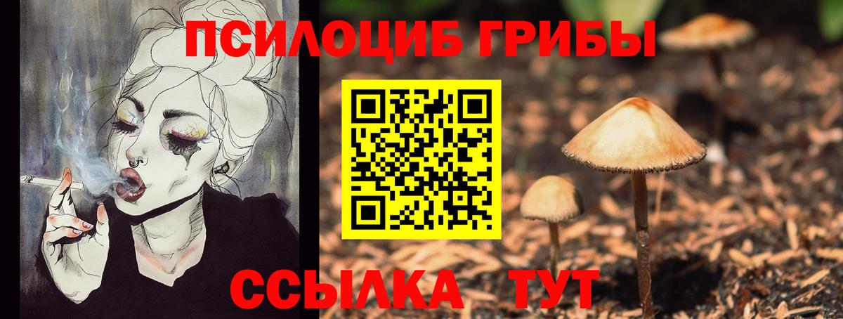 Псилоцибиновые грибы Psilocybe Артём